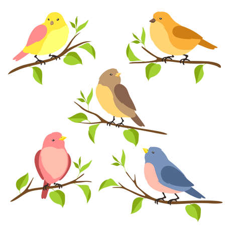 Set of stylized birds sitting on branches. Image of wild birdie in simple style.のイラスト素材
