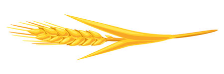 Illustration of wheat. Agricultural image natural golden ear of barley or rye.のイラスト素材