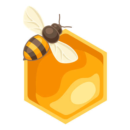 Illustration of honey bee. Image for business, food and agricultural industry.のイラスト素材