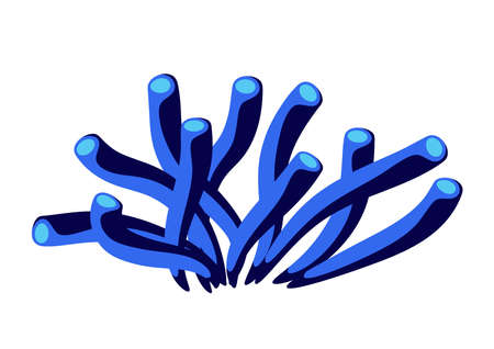 illustration of sea plant corals. marine life aquarium and sea flora. Stylized image in bright colors.のイラスト素材