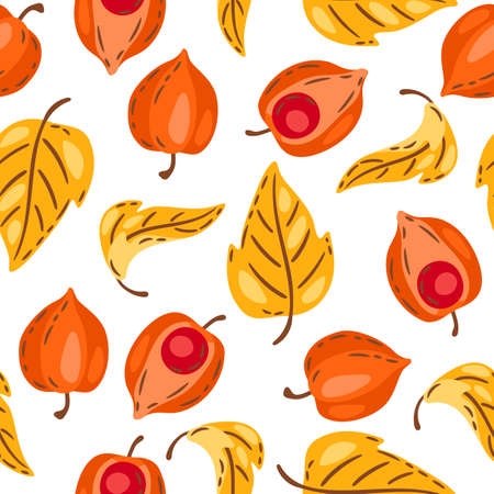 Seamless pattern of fesalis with berries. Image of seasonal autumn plant.のイラスト素材