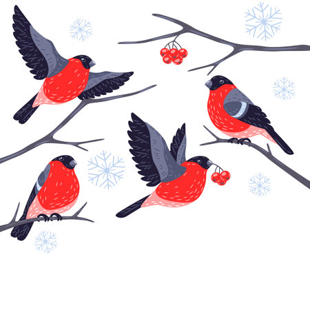 Winter background with birds bullfinches and plants. Merry Christmas and Happy New Year card. holiday design.のイラスト素材