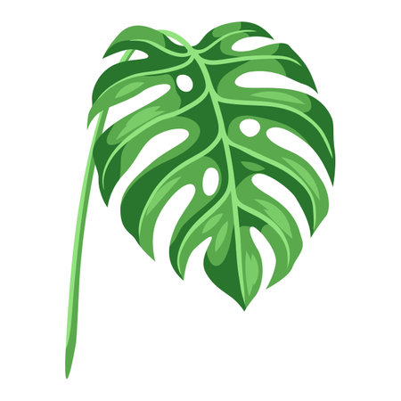 Illustration of stylized palm leaf. Decorative image of tropical foliage and plant.のイラスト素材