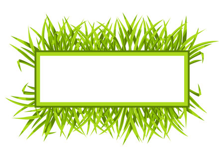 Frame with green grass. Beautiful decorative summer lawn.のイラスト素材