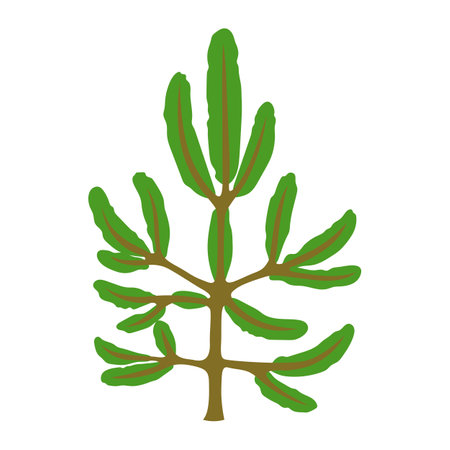 Illustration of spruce tree. Forest or park landscape element. Seasonal natural image.のイラスト素材