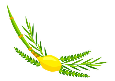Happy Sukkot symbols. Four species etrog, lulav, willow and myrtle branches. Jewish element for celebration.のイラスト素材