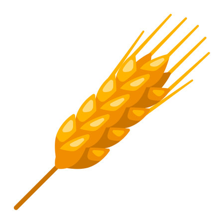 Illustration of wheat. Agricultural image with natural golden ear of barley or rye.のイラスト素材