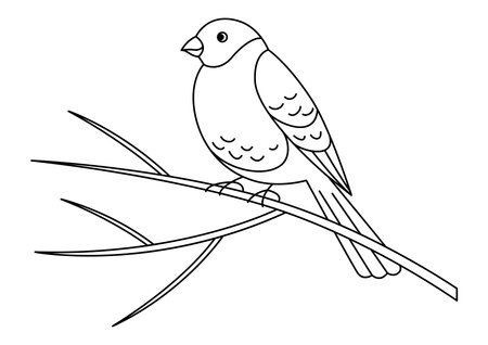 Bullfinch on branch. Illustrtion in linear style. Hand drawn image.のイラスト素材
