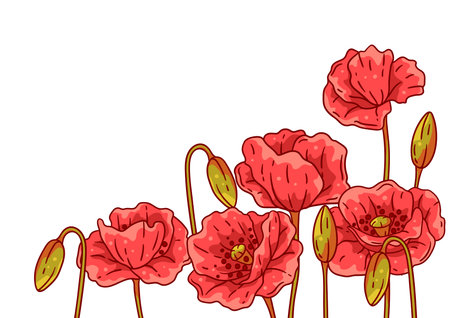 Background with poppies. Beautiful decorative plants. Natural illustration.のイラスト素材