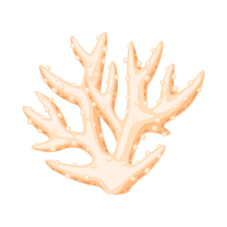 Illustration of sea coral. Marine life aquarium and water fauna. Stylized image in bright colors.のイラスト素材
