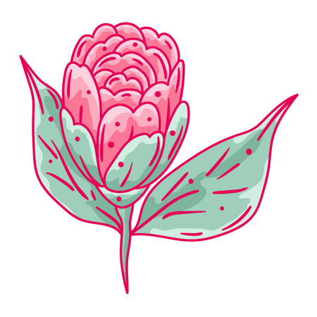 Illustration of camellia flower. Beautiful decorative plant. Natural image.のイラスト素材