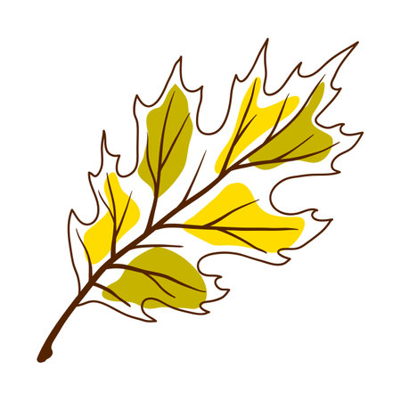 Illustration of oak leaf. Decorative autumn foliage. Beautiful plant.のイラスト素材