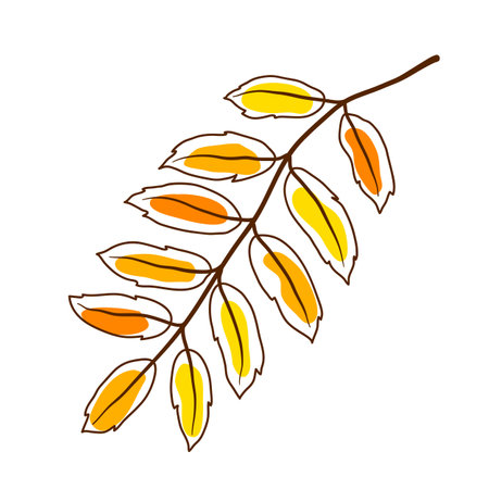 Illustration of rowan leaf. Decorative autumn foliage. Beautiful plant.のイラスト素材