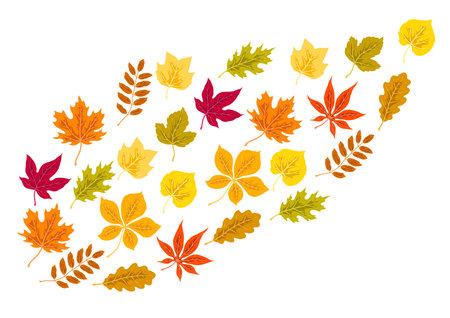 Background with autumn leaves. Illustration with various foliage. Decorative beautiful plants.のイラスト素材