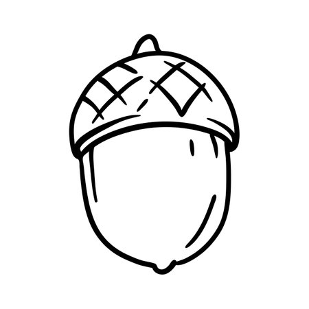 Acorn illustration. Autumn natural oak tree seed. Image for design.のイラスト素材