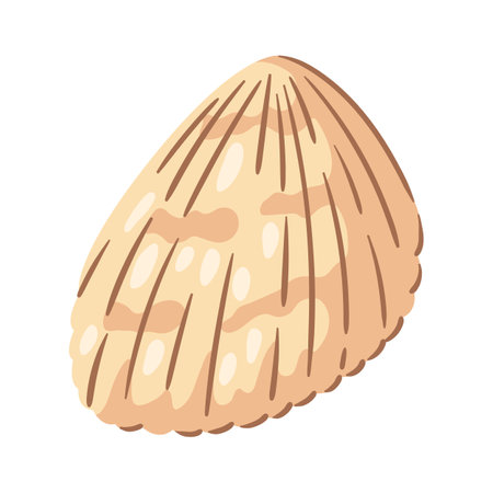 Illustration of seashell. Tropical underwater decorative mollusk shell.のイラスト素材