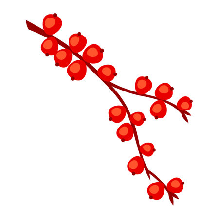 Illustration of branch with berries. Image of plant bunch. Botanical picture for decoration.のイラスト素材