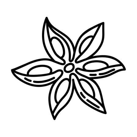 Illustration of star anise. Stylized food object for cooking recipe and menu item.のイラスト素材