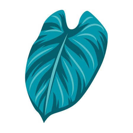 Stylized monstera leaf. Decorative image of tropical foliage and plant. Exotic nature.のイラスト素材