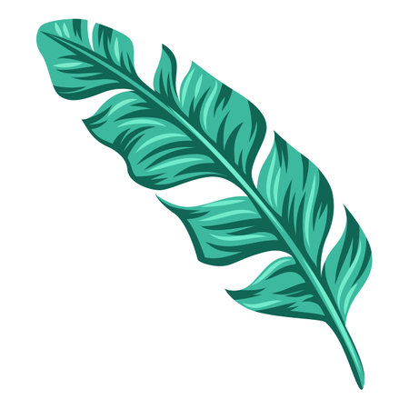 Stylized banana palm leaf. Decorative image of tropical foliage and plant. Exotic nature.のイラスト素材