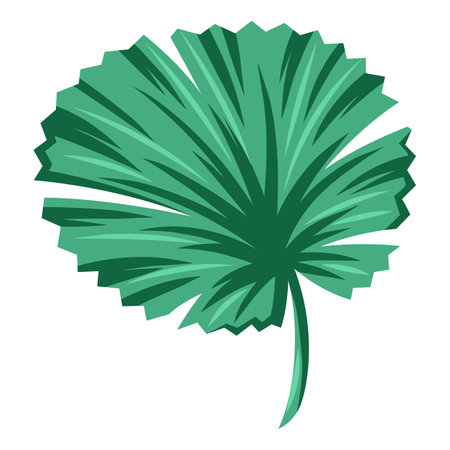 Stylized palm leaf. Decorative image of tropical foliage and plant. Exotic nature.のイラスト素材