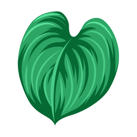 Stylized monstera leaf. Decorative image of tropical foliage and plant. Exotic nature.のイラスト素材