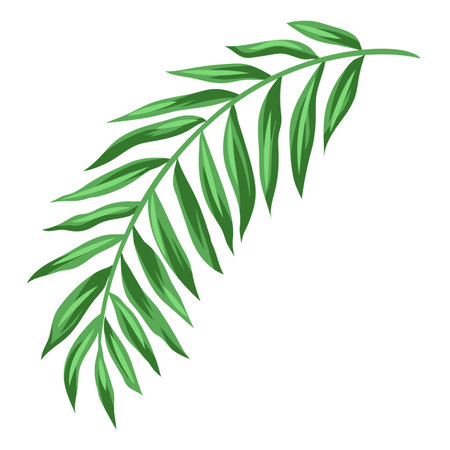 Stylized coconut palm leaf. Decorative image of tropical foliage and plant. Exotic nature.のイラスト素材