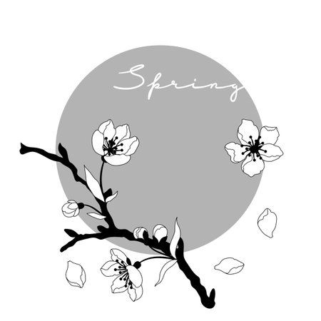 Background with spring flowers. Apple, sakura or cherry blossom. Beautiful decorative blooming plants. Natural illustration.のイラスト素材