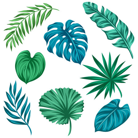 Set of stylized palm leaves. Decorative image of tropical foliage and plants. Exotic nature.のイラスト素材