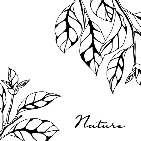 Background with branches and leaves. Spring or summer stylized foliage. Seasonal illustration.のイラスト素材