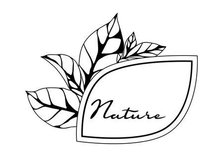 Background with leaves. Spring or summer stylized foliage. Seasonal illustration.のイラスト素材