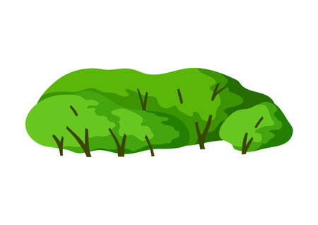 Stylized bush with leaves. Natural summer or spring image. Illustration for design.のイラスト素材