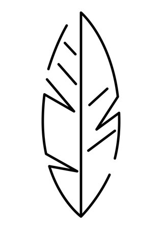 Stylized banana palm leaf. Decorative image of tropical foliage and plant. Exotic nature.のイラスト素材