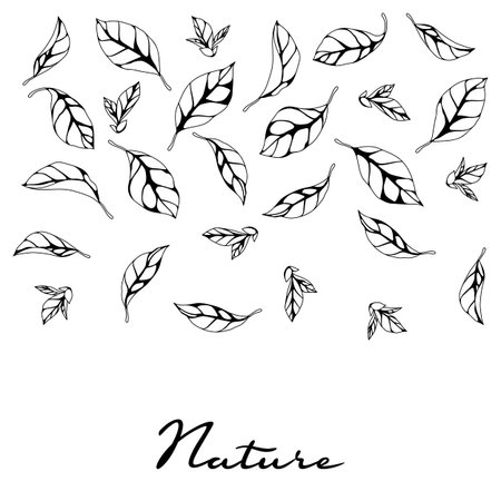 Background with leaves. Spring or summer stylized foliage. Seasonal illustration.のイラスト素材