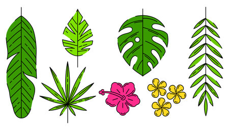 Set of stylized palm leaves. Decorative image of tropical foliage and plants. Exotic nature.のイラスト素材