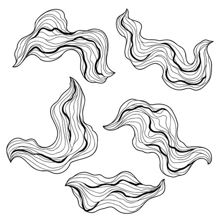 Set of wave elements. Abstract linear curls.のイラスト素材