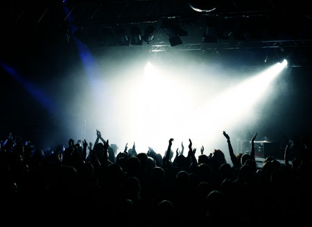 Black Concert Crowd and White Light