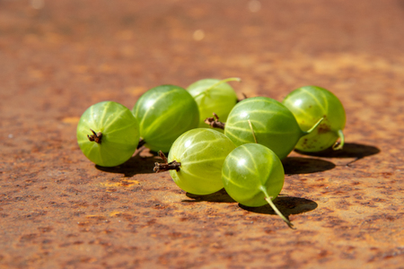 Some fresh gooseberry on rusty metal surface background in sunlightsの写真素材