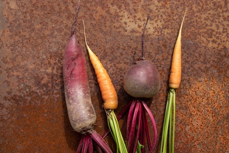 Bunch of raw beetroots and carrots from new harvest on rusty melallic surface backgroundの写真素材