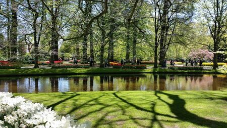 Lisse, Netherlands, Holland - May 2016: People tourists walking in spring time in Keukenhof flower garden. Field of white, yellow and red beautiful tulips on foreground close upのeditorial素材