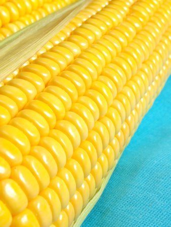 Yellow ripe corn closeup