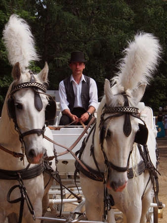 The driver controls the white crewの写真素材