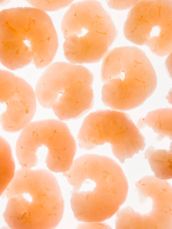 Boiled and peeled shrimps lie on a white background on the lumen. The concept of healthy seafood.の写真素材