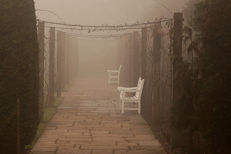 photograph of two white benches on a foggy morningの写真素材