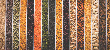 Indian Beans,Pulses,Lentils,Rice and Wheat grain in a white box with cells or strips, selective focus.の写真素材