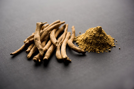 Ashwagandha / Aswaganda OR Indian Ginseng is an Ayurveda medicine in stem and powder form. Isolated on plain background. selective focusの写真素材