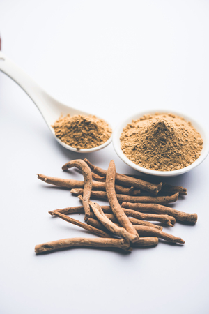 Ashwagandha / Aswaganda OR Indian Ginseng is an Ayurveda medicine in stem and powder form. Isolated on plain background. selective focusの写真素材