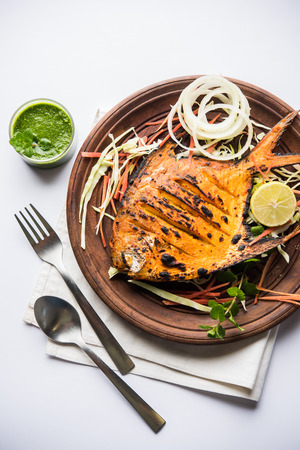 Crispy Paneer popcorn is a popular party snack and an appetiser. selective focusの写真素材