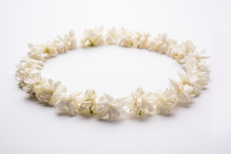 Jasminum sambac or Mogra Flower arranged in a  circular or rectangular  frame shape over white background, selective focusの写真素材