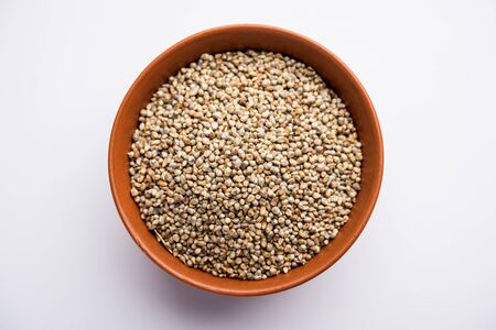 Pearl Millet or Bajra seeds also known as sorghum, in a bowl, selective focusの写真素材